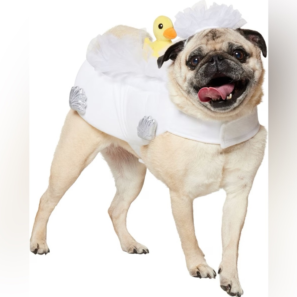 Frisco Bubble Bath with Rubber Duck Dog & Cat Costume